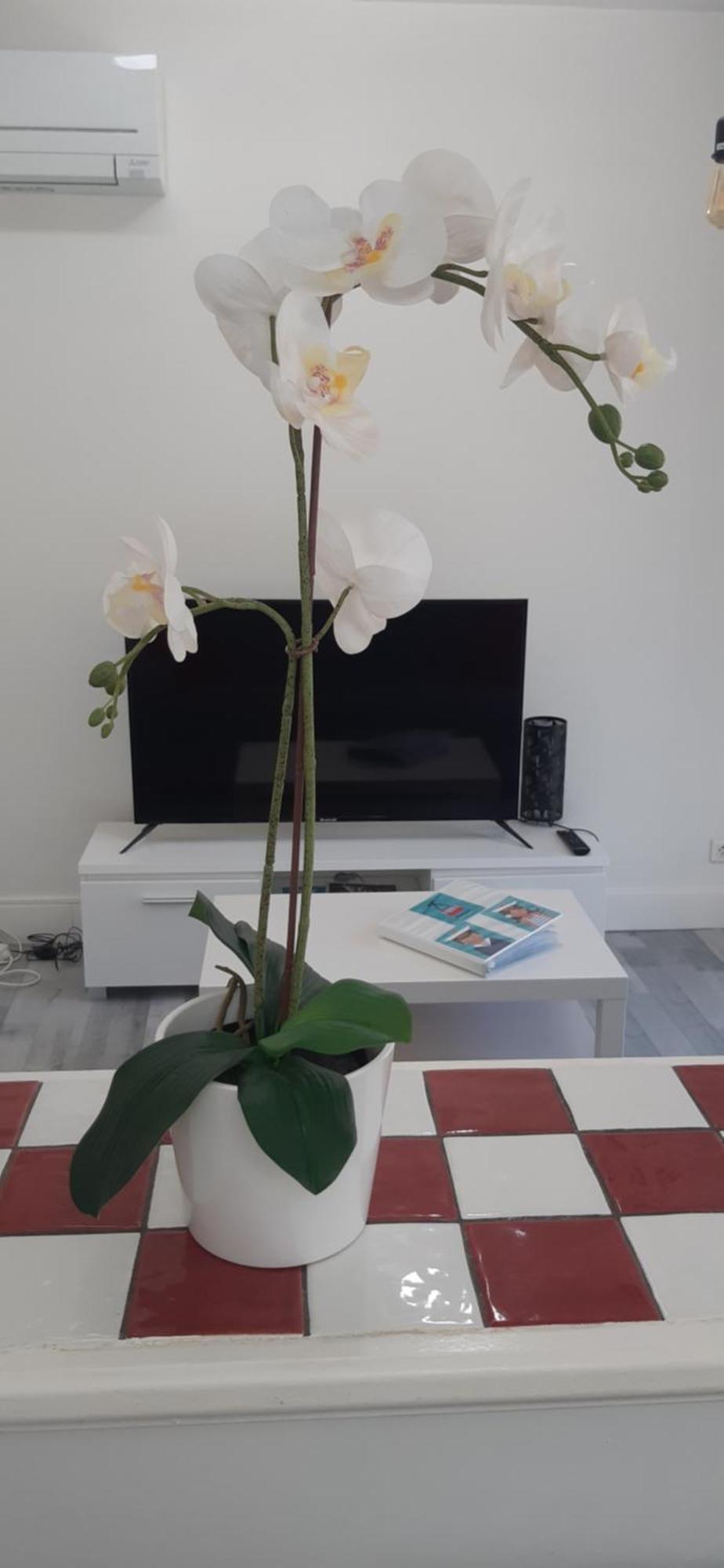 Logement Le Serein ตูลง ภายนอก รูปภาพ